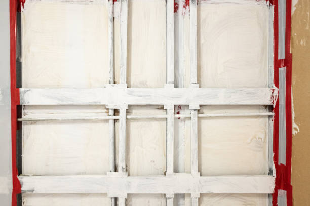 Trusted Airport, CA Mold Removal Experts